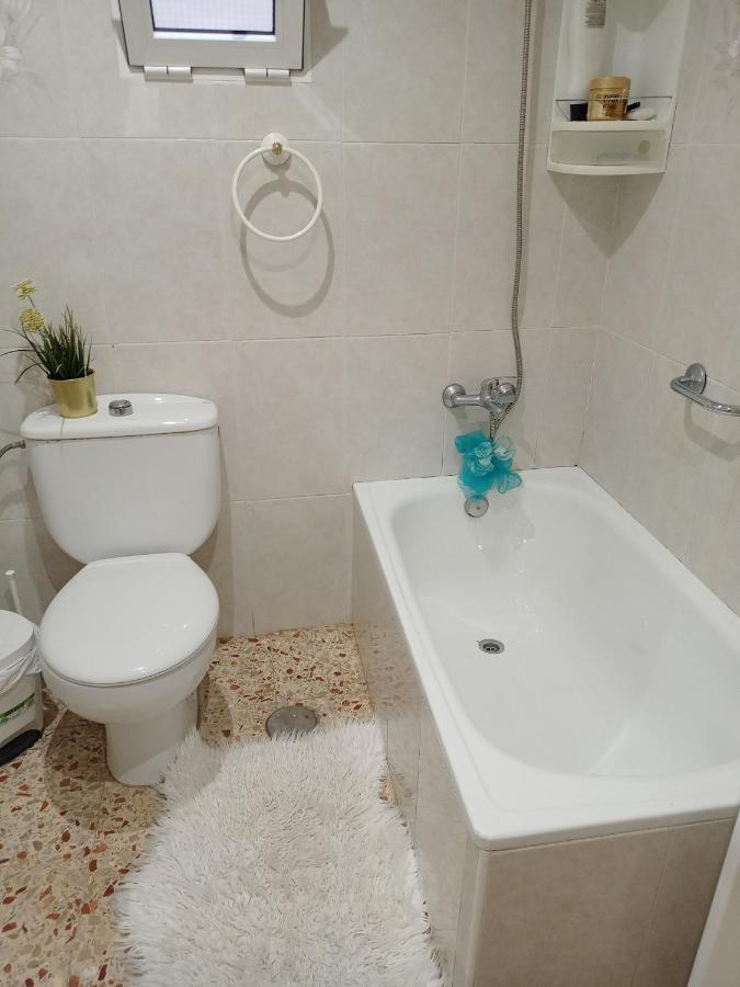 Habitaciones A Dos Pasos Del Congreso Elche Ngoại thất bức ảnh